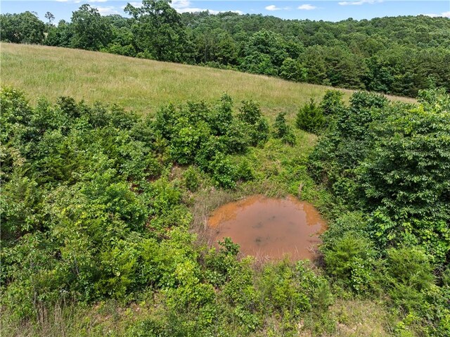 4668 Tar Kiln Rd, Harrison, AR 72601 - photo 35
