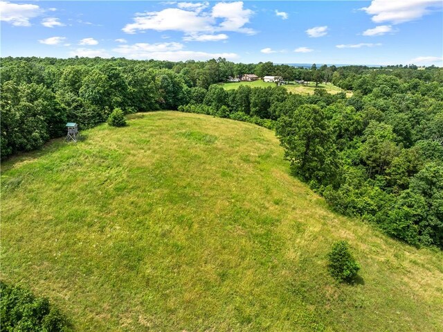 4668 Tar Kiln Rd, Harrison, AR 72601 - photo 36