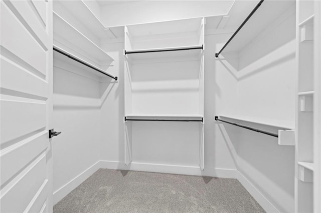 1421 Lee St, Pea Ridge, AR 72751 - spacious closet with light carpet