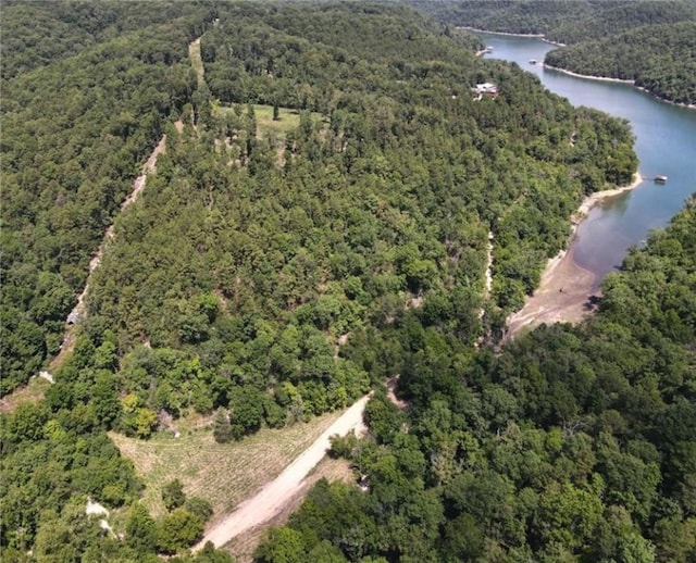 150 Haven Ln, Eureka Springs, AR 72631 - photo 1