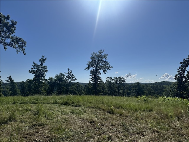150 Haven Ln, Eureka Springs, AR 72631 - photo 5