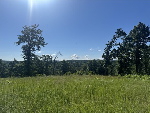 150 Haven Ln, Eureka Springs, AR 72631 - photo 6
