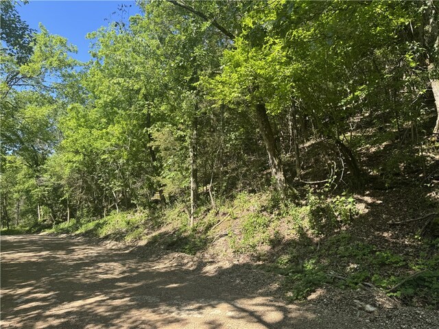 150 Haven Ln, Eureka Springs, AR 72631 - photo 7