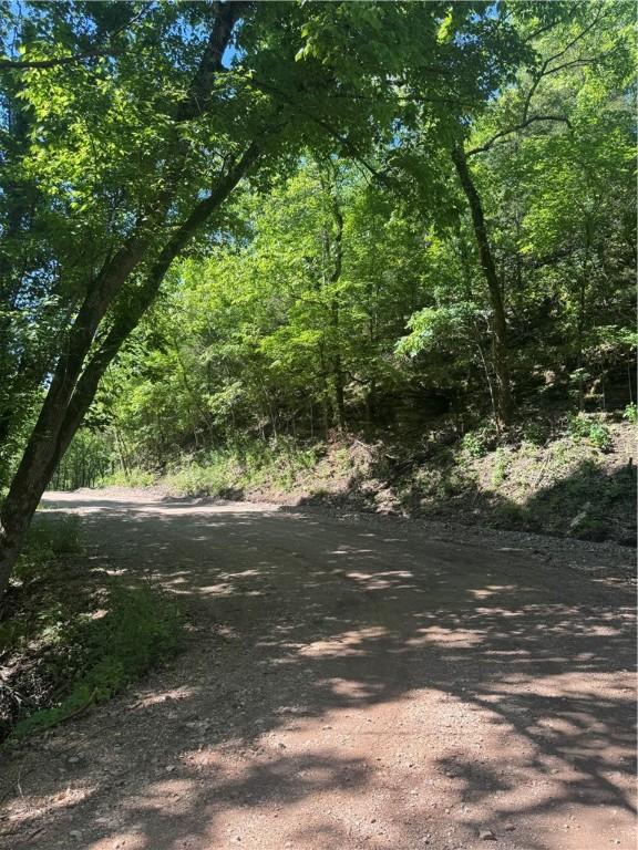 150 Haven Ln, Eureka Springs, AR 72631 - photo 8