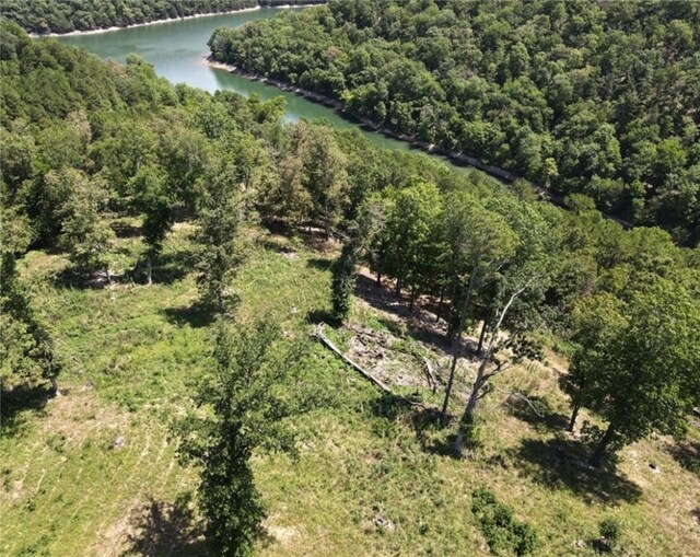 150 Haven Ln, Eureka Springs, AR 72631 - photo 11