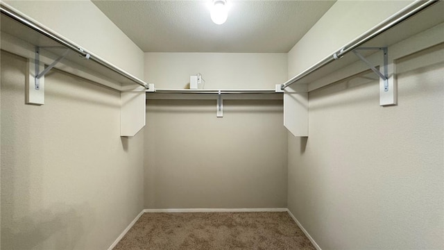 1643 S Towhee Ln, Fayetteville, AR 72701 - photo 14