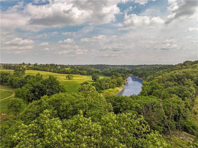 585 County Road 217, Berryville, AR 72616 - aerial view of a nearby body of water