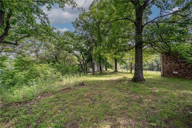 585 County Road 217, Berryville, AR 72616 - view of yard