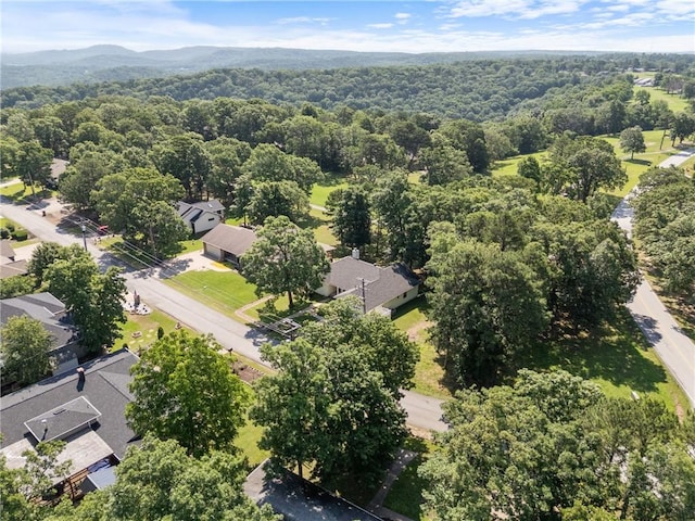 4 Hillcrest Dr, Holiday Island, AR 72631 - aerial view of a forest and a mountain backdrop