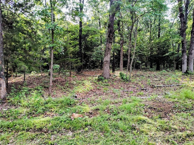 Taylor Barnett Rd, Garfield, AR 72732