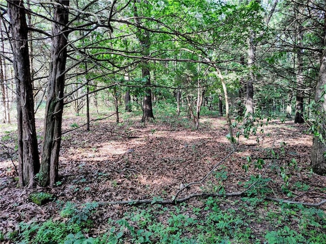 Taylor Barnett Rd, Garfield, AR 72732