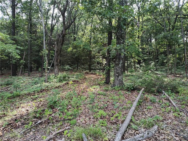 Taylor Barnett Rd, Garfield, AR 72732