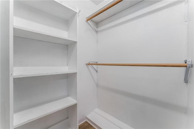 800 Summit Dr, Rogers, AR 72756 - view of walk in closet