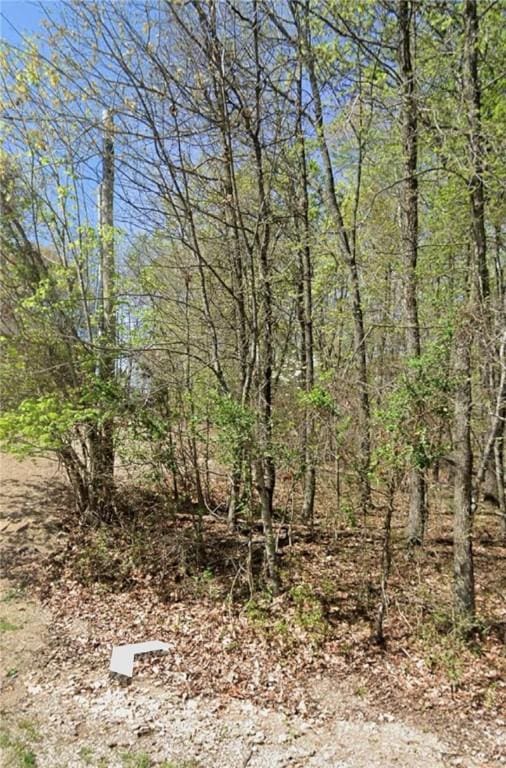 LOT27 N Lewes Ln, Bella Vista, AR 72714 - photo 1