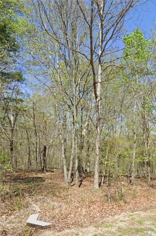 LOT27 N Lewes Ln, Bella Vista, AR 72714 - photo 2