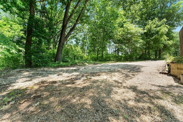 10 Magrath Ln, Bella Vista, AR 72715 - view of yard
