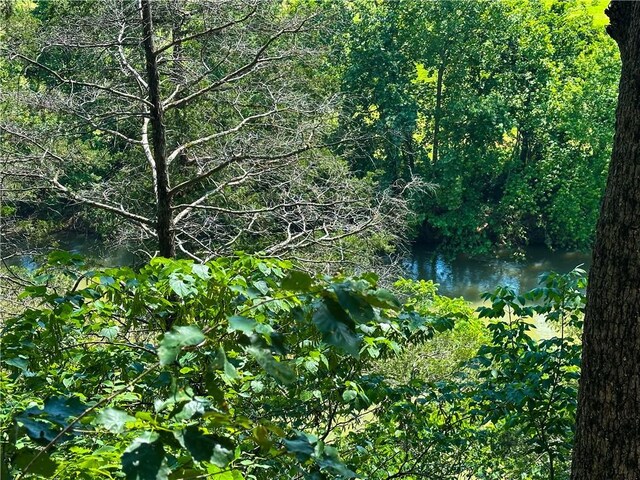 TBD County Road 3272, Berryville, AR 72616