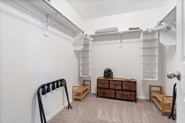 2213 E Fennec St, Siloam Springs, AR 72761 - spacious closet with carpet flooring