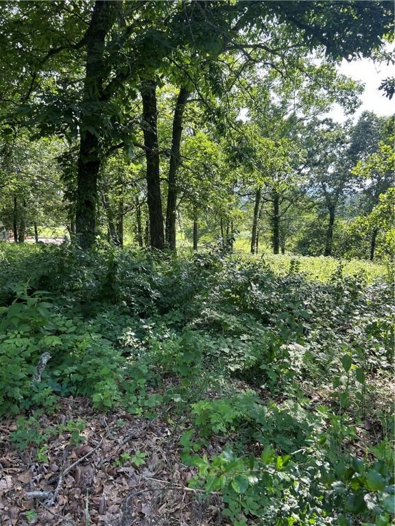 4019 Savannah Dr, Harrison, AR 72601 - photo 2