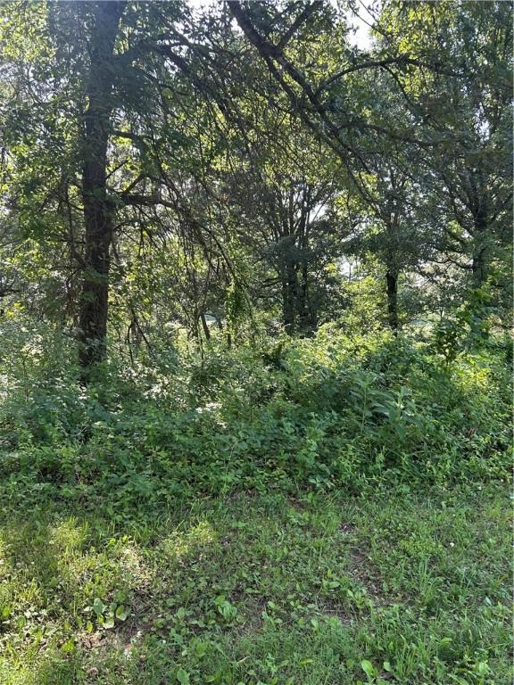 4019 Savannah Dr, Harrison, AR 72601 - photo 1