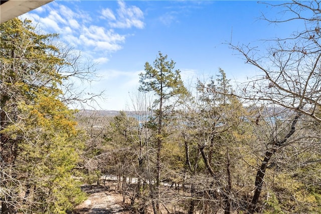 11021 Lathams Landing Rd, Garfield, AR 72732 - view of undeveloped land
