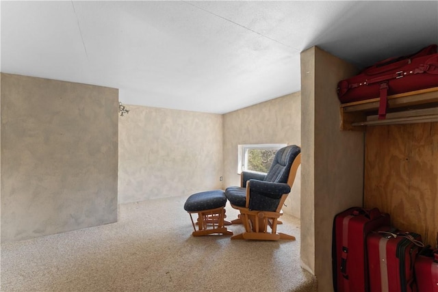 11021 Lathams Landing Rd, Garfield, AR 72732 - sitting room featuring carpet floors