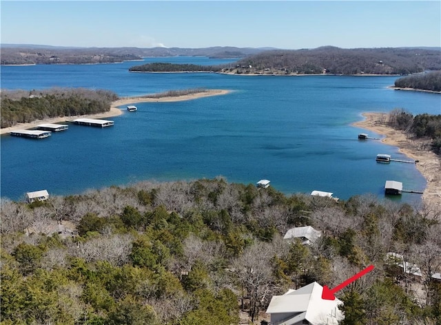 11021 Lathams Landing Rd, Garfield, AR 72732 - water view