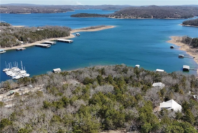 11021 Lathams Landing Rd, Garfield, AR 72732 - bird's eye view of a large body of water