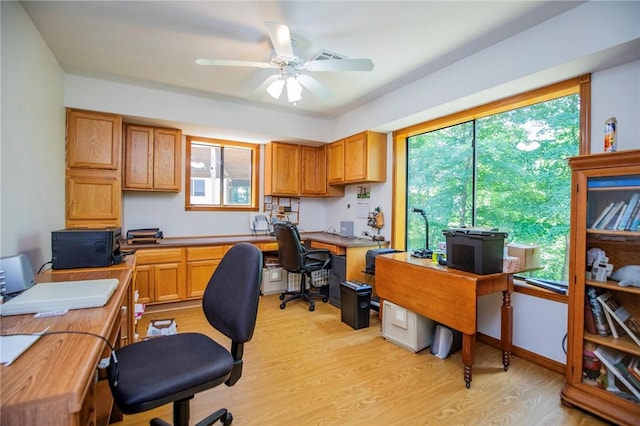 19 Bobwhite Ln, Holiday Island, AR 72631 - office with a ceiling fan and light wood-style flooring