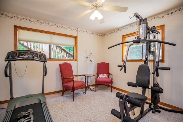 19 Bobwhite Ln, Holiday Island, AR 72631 - exercise area with healthy amount of natural light, carpet floors, and a ceiling fan
