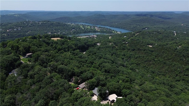 19 Bobwhite Ln, Holiday Island, AR 72631 - aerial view of a forest and a nearby body of water