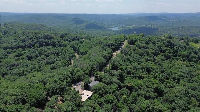 19 Bobwhite Ln, Holiday Island, AR 72631 - aerial view of a forest