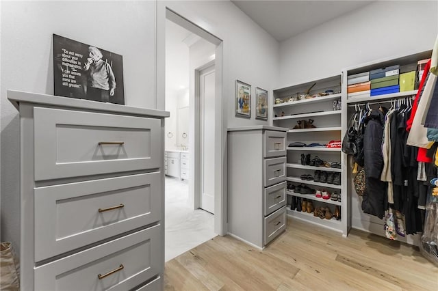8003 W Claverton St, Rogers, AR 72758 - spacious closet featuring light wood-style floors