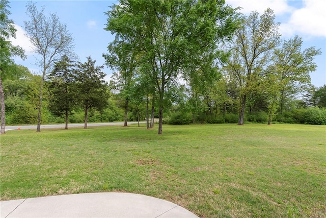 399 W Republican, Greenbrier, AR 72058 - photo 34