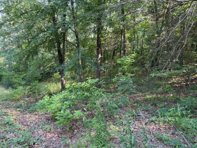 Needles Ct, Dardanelle, AR 72834 - photo 2