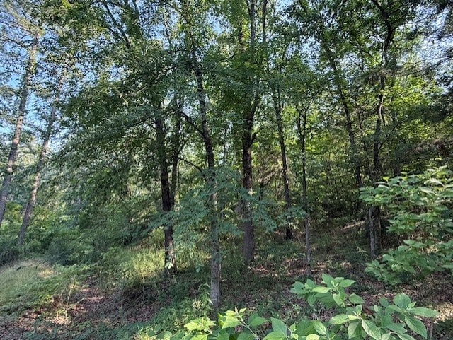 Needles Ct, Dardanelle, AR 72834 - photo 3