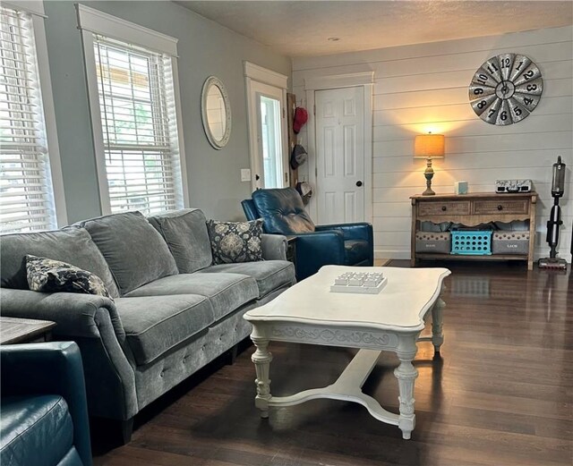 20796 Dawn Hill E Rd, Gentry, AR 72734 - living room with dark wood-style floors and wooden walls