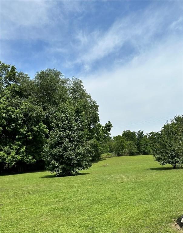 20796 Dawn Hill E Rd, Gentry, AR 72734 - view of green lawn