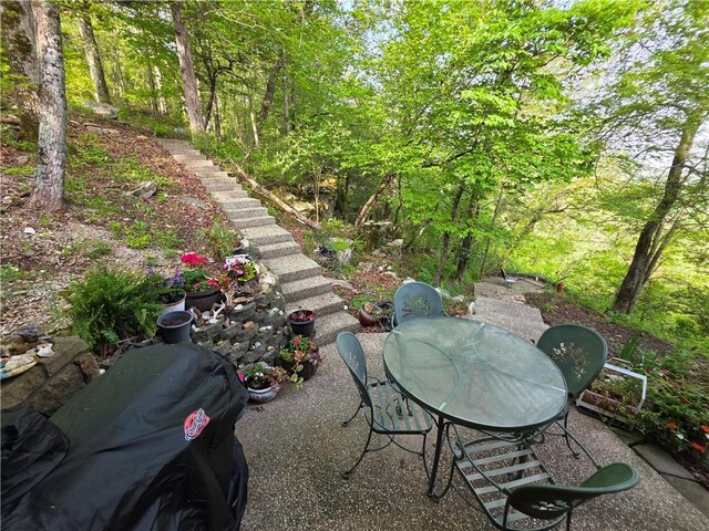 1655 Wilson Springs Rd, Harrison, AR 72601 - view of yard with a patio, outdoor dining space, and stairway
