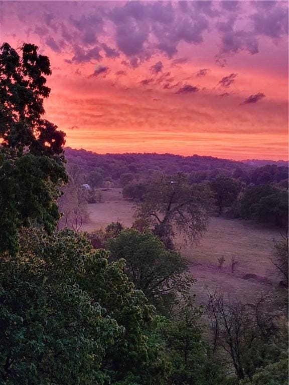1655 Wilson Springs Rd, Harrison, AR 72601 - view of mountain backdrop