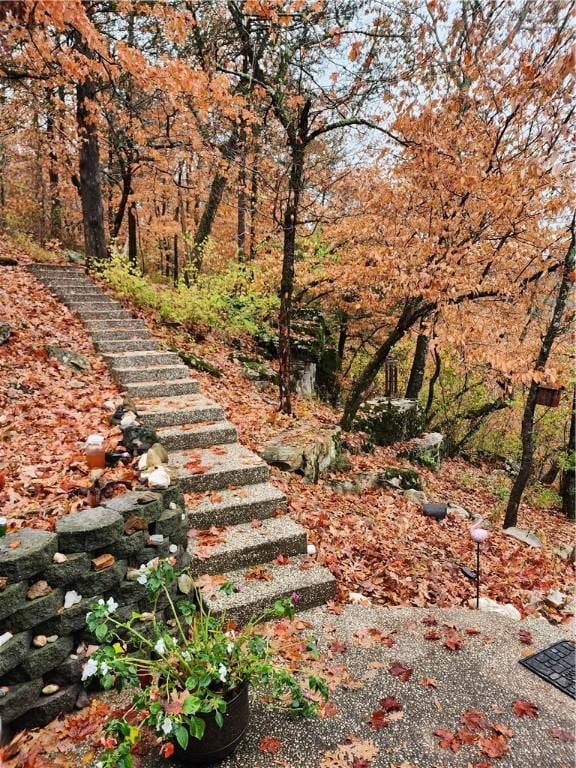 1655 Wilson Springs Rd, Harrison, AR 72601 - view of yard with stairway