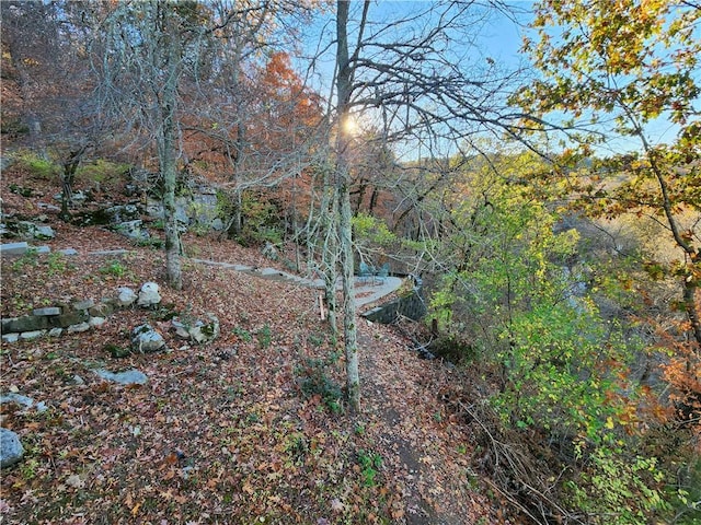 1655 Wilson Springs Rd, Harrison, AR 72601 - view of wooded area