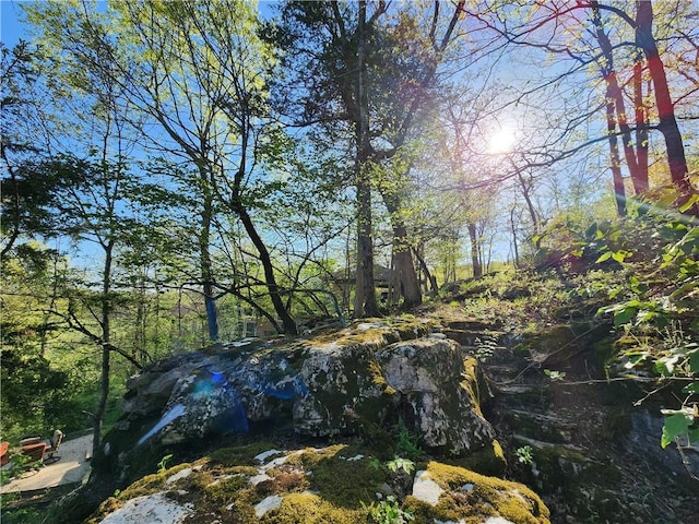 1655 Wilson Springs Rd, Harrison, AR 72601 - view of yard
