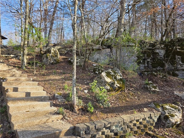 1655 Wilson Springs Rd, Harrison, AR 72601 - view of yard