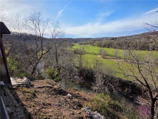 1655 Wilson Springs Rd, Harrison, AR 72601 - view of mountain background