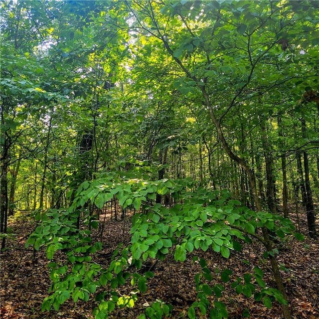 Peebles Cir, Bella Vista, AR 72715