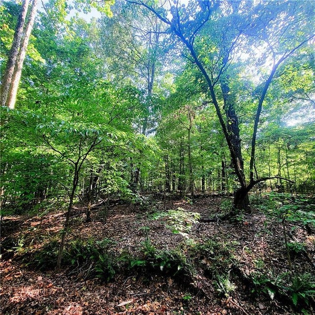 Peebles Cir, Bella Vista, AR 72715