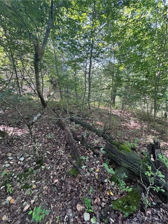 TBD Gretton Lane, Bella Vista, AR 72714 - photo 1