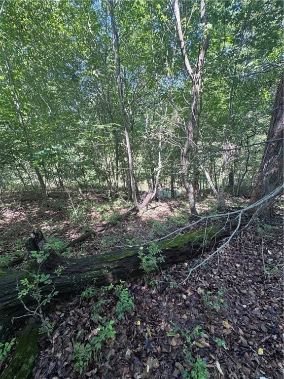 TBD Gretton Lane, Bella Vista, AR 72714 - photo 2
