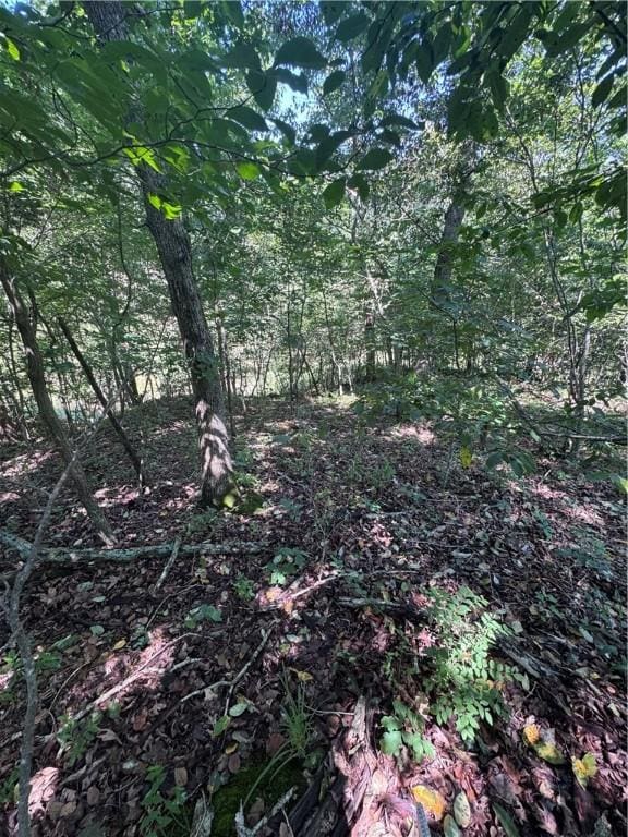 TBD Gretton Lane, Bella Vista, AR 72714 - photo 3